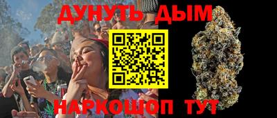 ГАЛЛЮЦИНОГЕННЫЕ ГРИБЫ Кингисепп