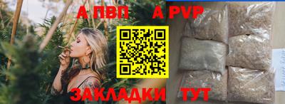 ГАЛЛЮЦИНОГЕННЫЕ ГРИБЫ Кингисепп